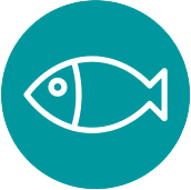 Pesce e prodotti ittici.