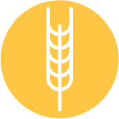 Glutine (frumento, segale, orzo, avena, farro, kamut e prodotti derivati)